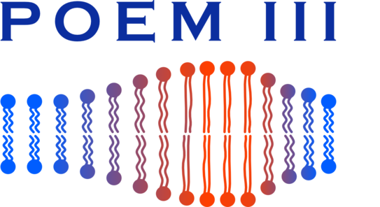 Logo des POEM III Workshops