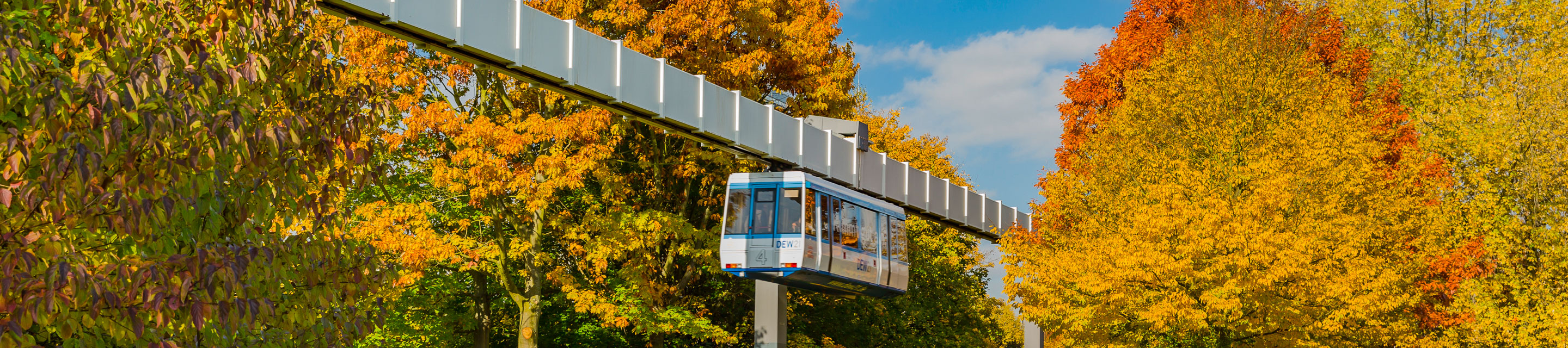 H-Bahn und Bäume mit bunten Blättern im Herbst